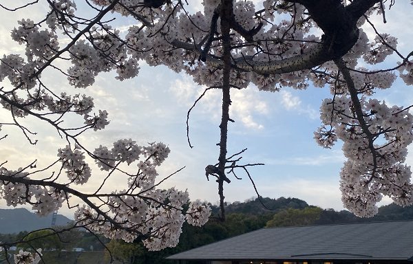 私の名入れベビーリュックへの思い