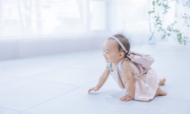 リシュマムのおともだち＊お客様のお写真をご紹介(11月)